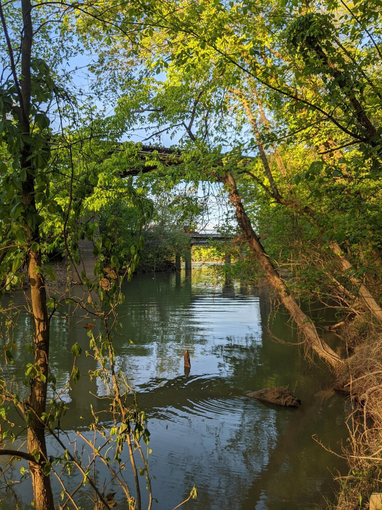 River Cabin Hot Tub & Swim Spa Near Downtown Chattanooga Exteriér fotografie